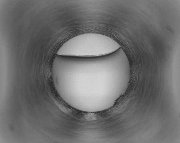X0000110880091200906180954