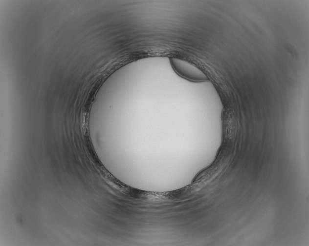 X0000110880093200906180954