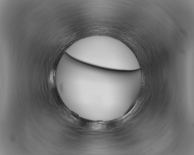 X0000110880094200906180954