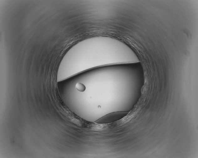 X0000110880096200906180954