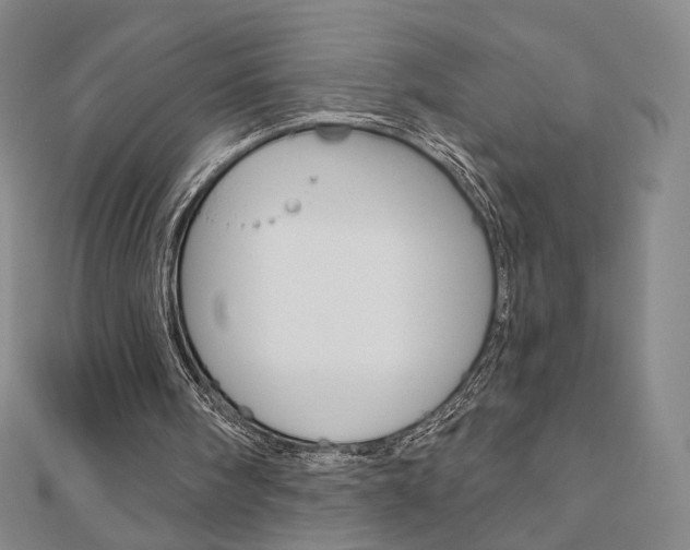 X0000110880098200906180953
