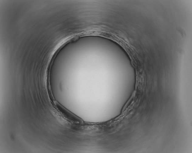 X0000110880100200906180953