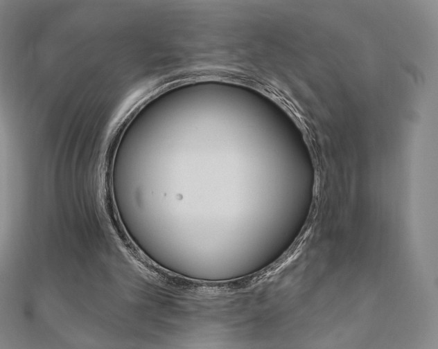 X0000110880101200906180953