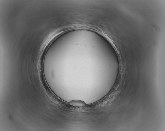 X0000110880103200906180953