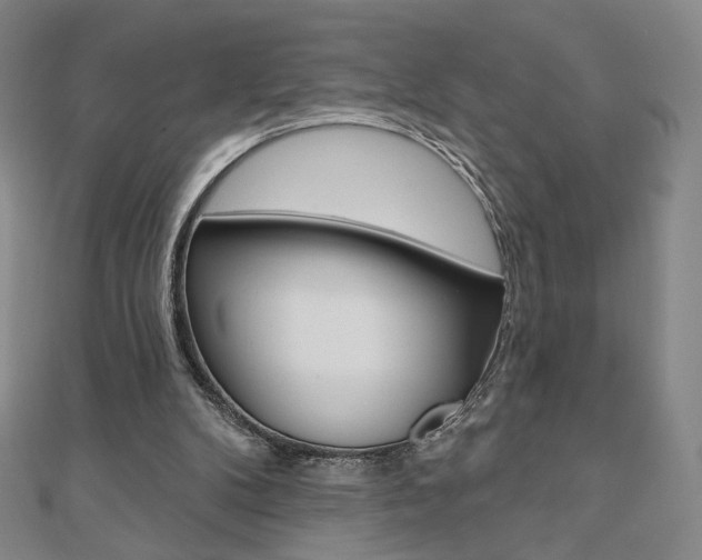 X0000110880104200906180953