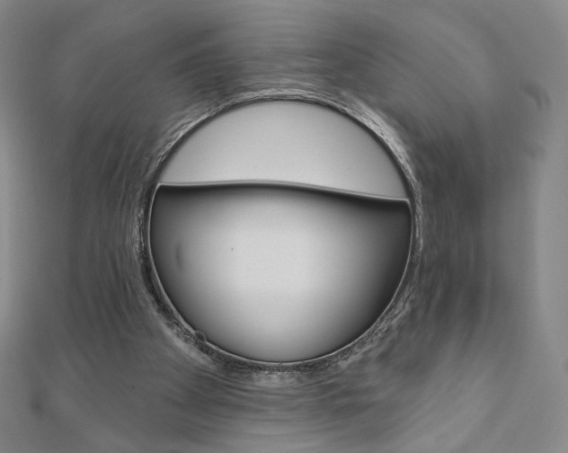 X0000110880105200906180953