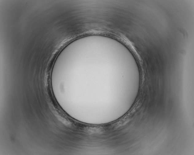 X0000110880106200906180953