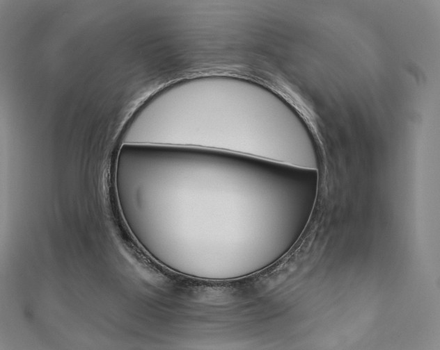 X0000110880107200906180953