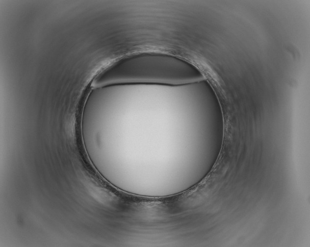 X0000110880108200906180953