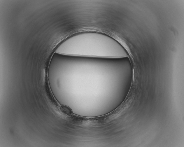 X0000110880109200906180953