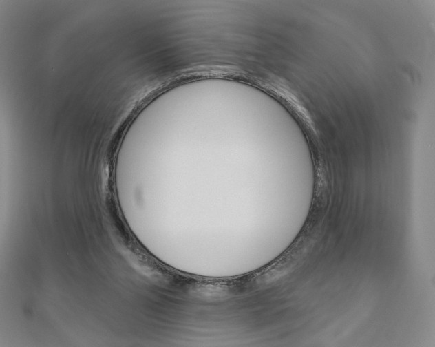 X0000110880110200906180953
