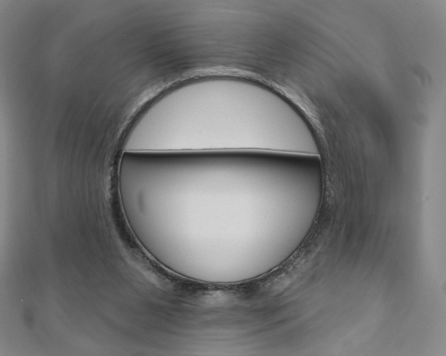 X0000110880111200906180953