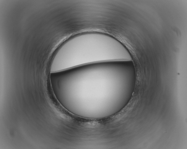 X0000110880112200906180953