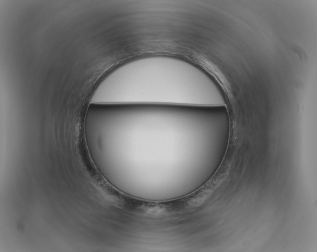 X0000110880113200906180953