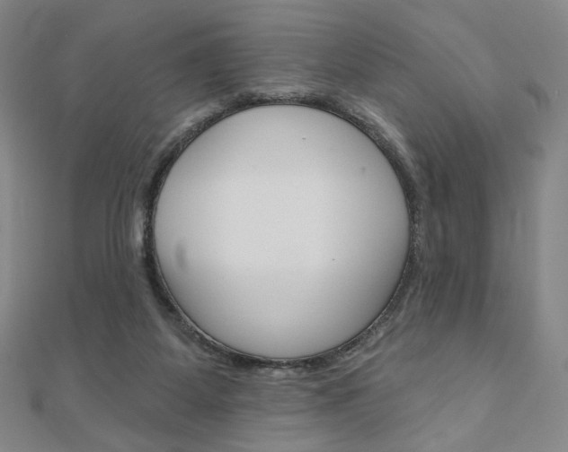 X0000110880115200906180953