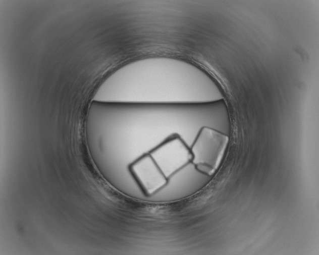 X0000110880117200906180953