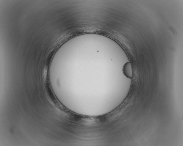 X0000110880118200906180953