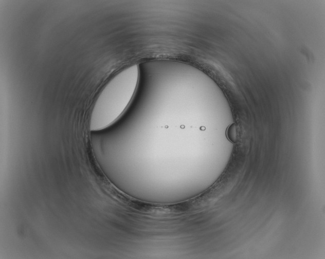 X0000110880123200906180953
