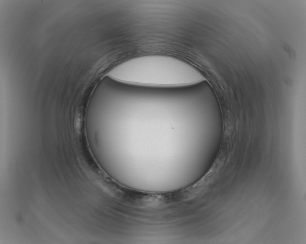 X0000110880124200906180953