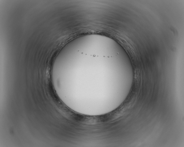 X0000110880127200906180953