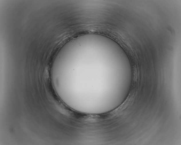 X0000110880128200906180953