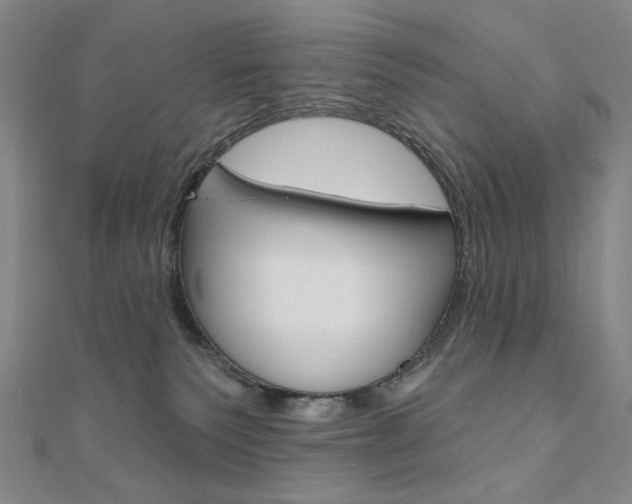 X0000110880135200906180953