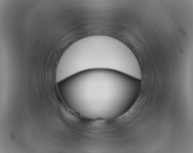 X0000110880136200906180953
