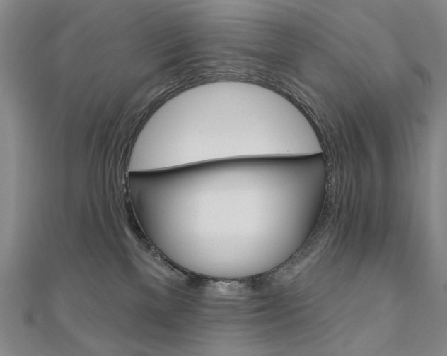 X0000110880137200906180953