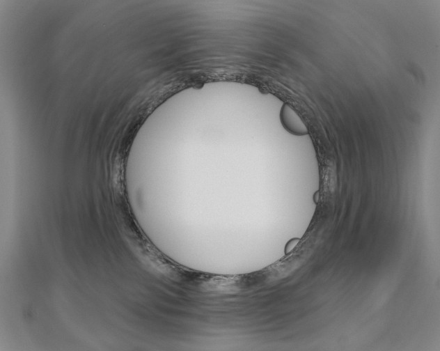 X0000110880138200906180953