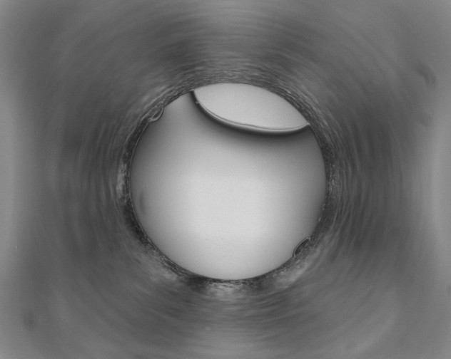 X0000110880139200906180953