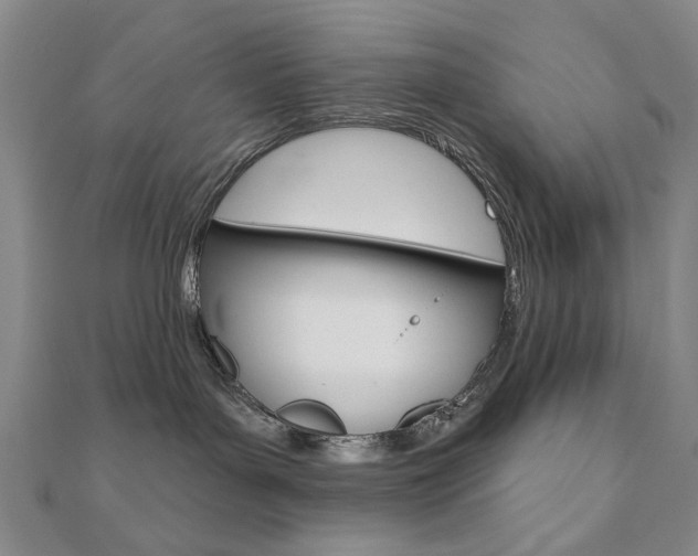 X0000110880143200906180953