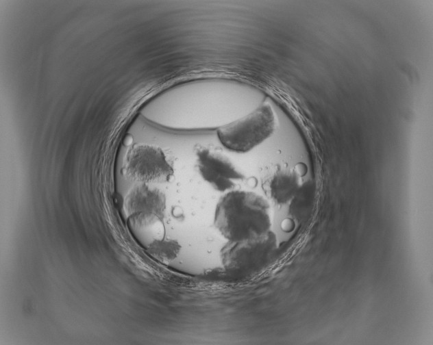 X0000110880145200906180952