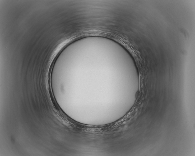 X0000110880147200906180952