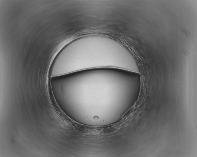 X0000110880148200906180952