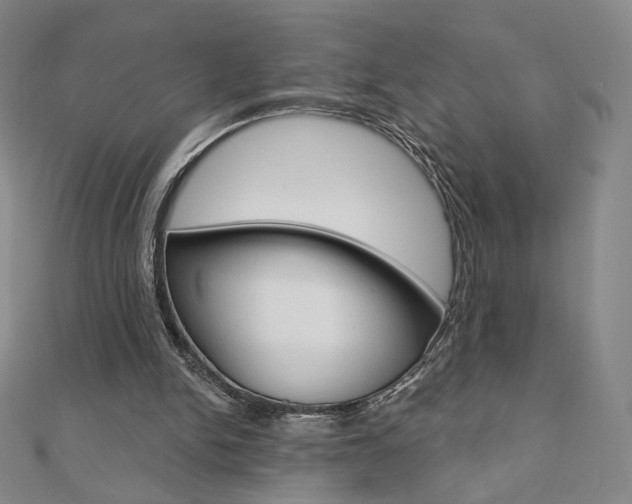 X0000110880150200906180952
