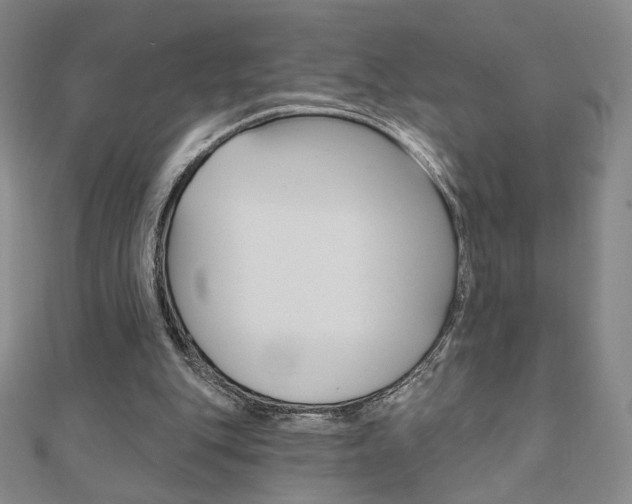 X0000110880151200906180952