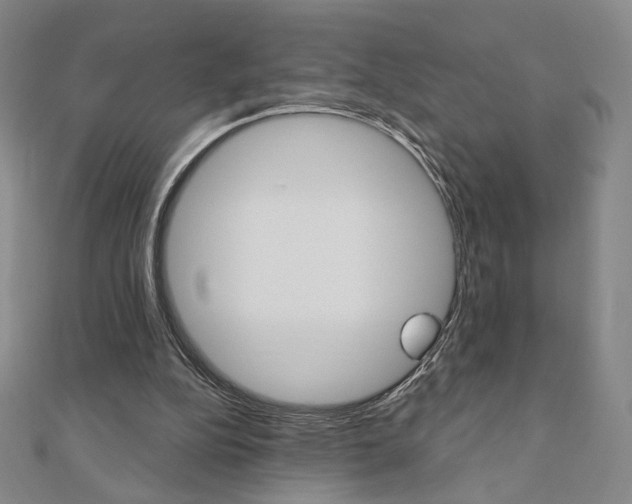 X0000110880152200906180952