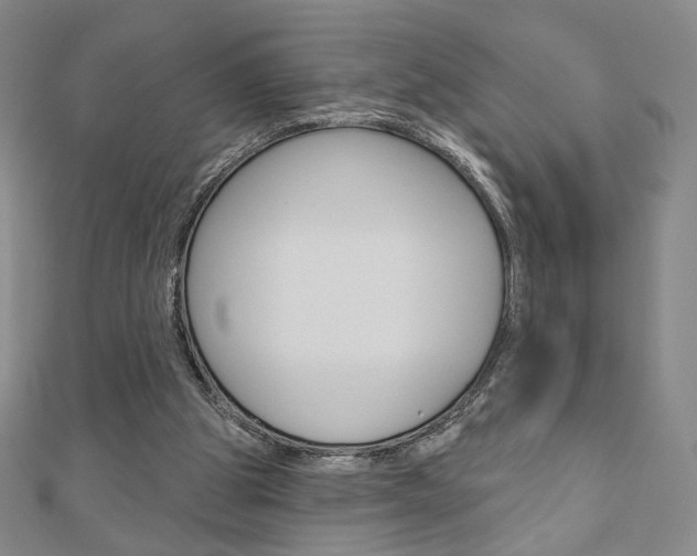 X0000110880153200906180952