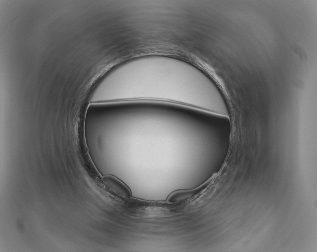 X0000110880154200906180952