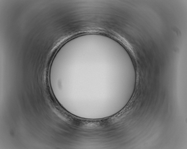 X0000110880155200906180952