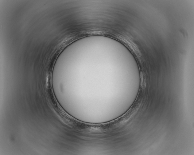 X0000110880157200906180952
