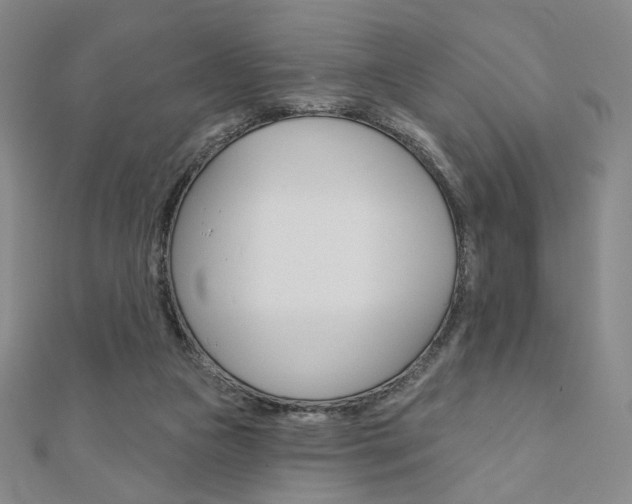 X0000110880161200906180952