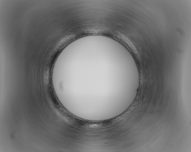 X0000110880163200906180952
