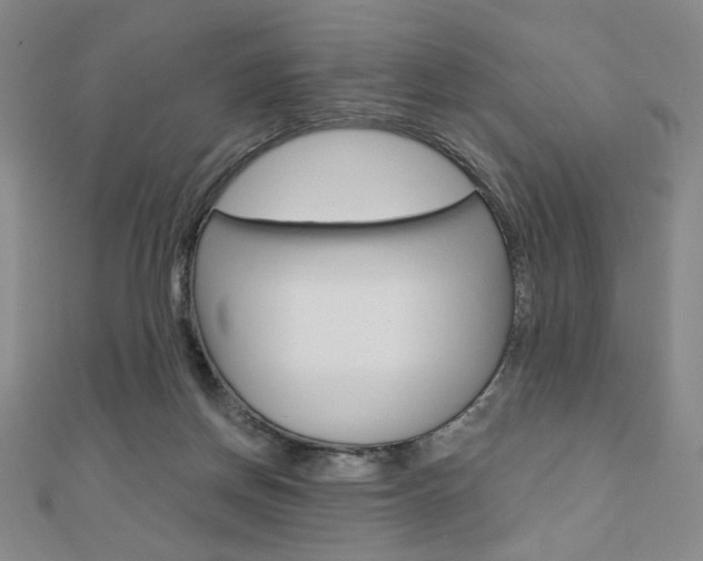 X0000110880166200906180952