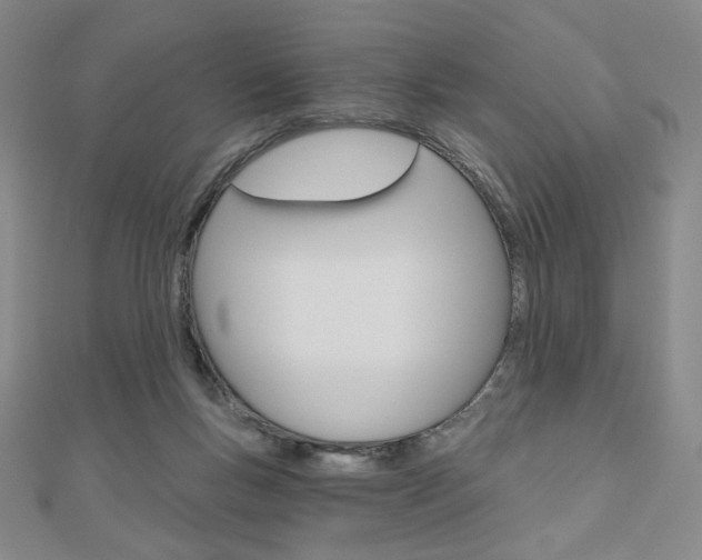 X0000110880167200906180952
