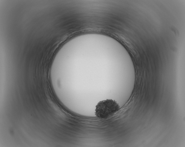 X0000110880168200906180952