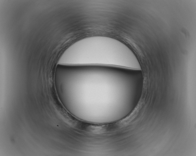 X0000110880170200906180952