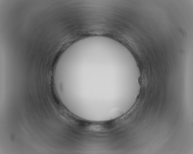 X0000110880171200906180952