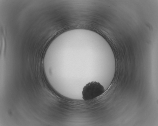 X0000110880172200906180952