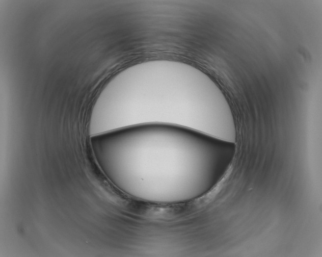 X0000110880174200906180952